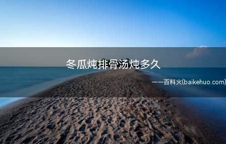 冬瓜炖排骨汤炖多久