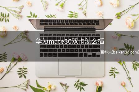 华为mate30双卡怎么插
