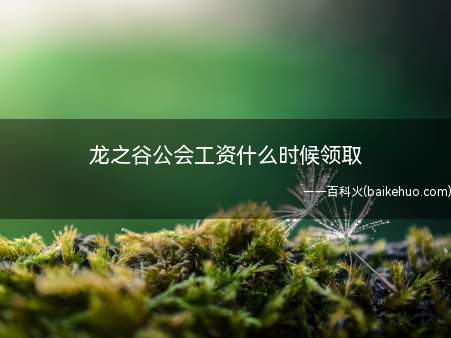 龙之谷公会工资什么时候领取(龙之谷公会工资领取如下)