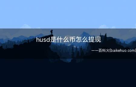 husd是什么币怎么提现(火币全球站开通稳定币综合解决方案)