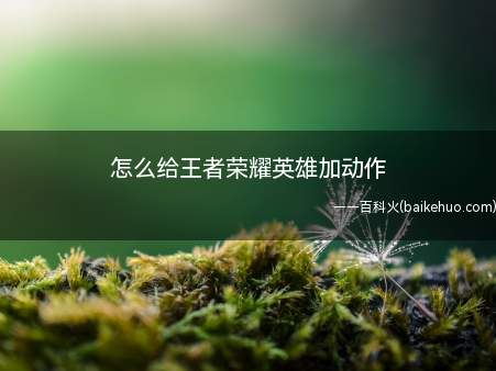 怎么给王者荣耀英雄加动作(王者荣耀主界面点击进入英雄界面)
