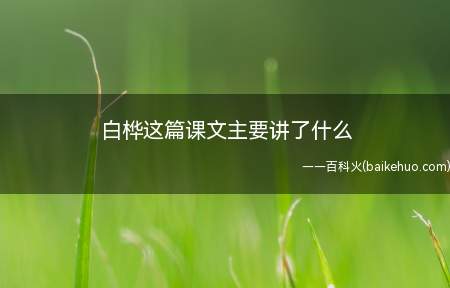 《白桦》课文主要内容是以白桦为中心,从各个角度描写它的美丽
