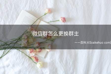 微信群怎么更换群主(微信群怎么更换群主吗)
