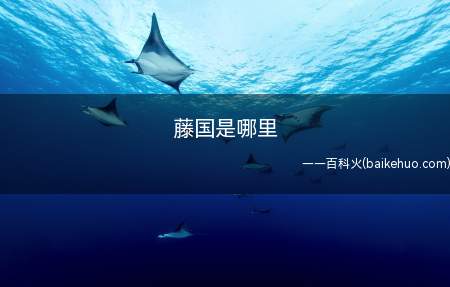 滕国灭亡后,贵族后裔纷纷外逃,为了不忘国耻,永怀故土,遂以国