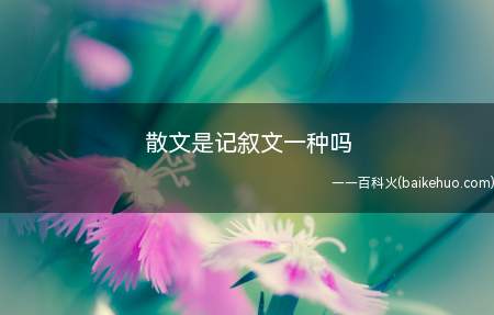 “散文”不是记述文,散文是一种抒发作者真情实感、写作方式灵活