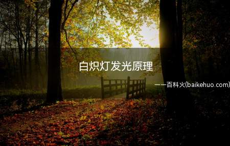 白炽灯发光原理(白炽灯发光原理是什么)