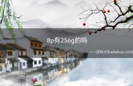 8p有256g的吗(iPhone8Plus)