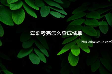 驾照考完怎么查成绩单(交通安全综合服务管理平台)