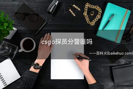 csgo探员分警匪吗（csgo探员皮肤是分警和匪的）