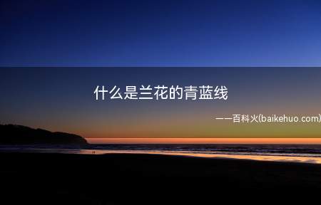 什么是兰花的青蓝线(兰花的青蓝线是指兰花叶子中间部位的一条青线)