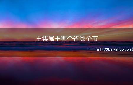 王集镇三粉加工、粮油酿造、板材制作等民营经济发展迅猛