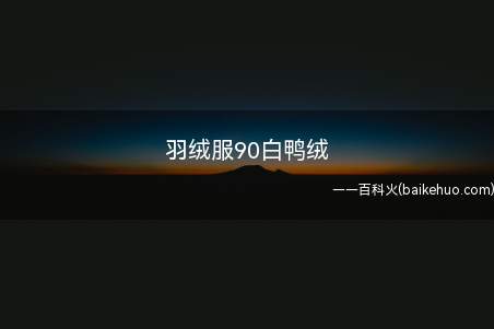 羽绒服90白鸭绒(羽绒服90白鸭绒的意思)
