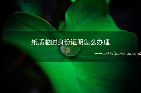纸质临时身份证明怎么办理(购票后丢失有效身份证件)