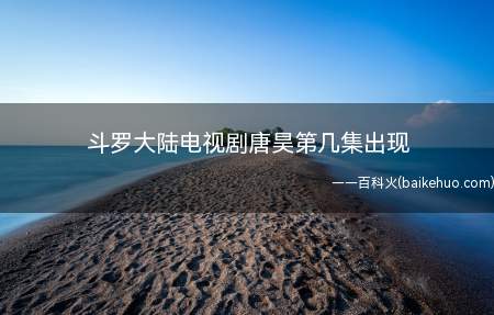 唐昊由钟镇涛扮演,唐昊是唐三的父亲,其武魂是昊天锤