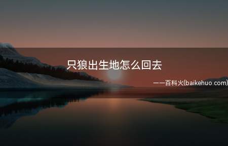 只狼出生地怎么回去(只狼出生地怎么回去来看经验吧!)