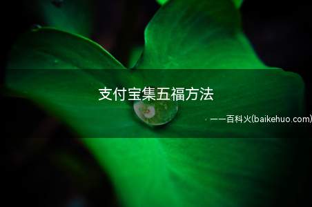 支付宝集五福方法(教你支付宝怎么快速集五福)