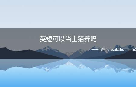 英短可以当土猫养吗(英短最好不要当土猫养)