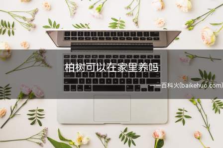 柏树可以在家里养吗(柏树可以在家里养,但需要保证室内温度在10~25°C)