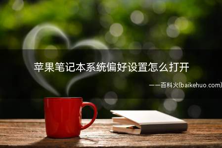 苹果笔记本系统偏好设置怎么打开(苹果电脑怎么打开系统偏好设置)