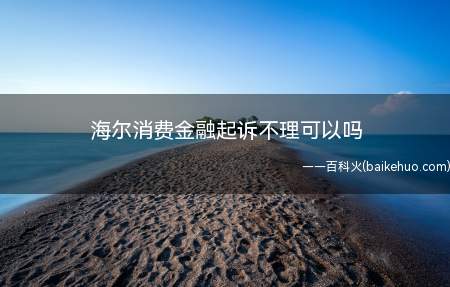 不可以,有能力却不还款被海尔消费金融起诉,名下财产将被强制执