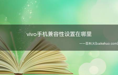 vivo手机兼容性设置在哪里