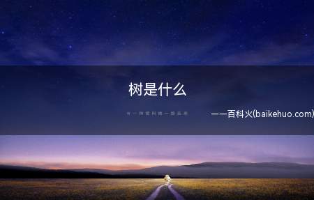 树是什么(木本植物之总名,主要由根、干、枝、叶、花、果组成)