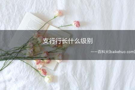 支行行长什么级别(支行行长是正处级级别,其工作内容有哪些)