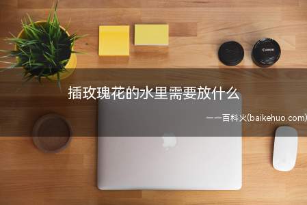 插玫瑰花的水里需要放什么（鲜花保鲜剂可以开放很久吗）