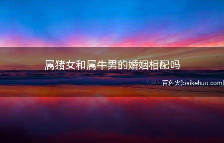属猪女和属牛男的婚姻相配吗