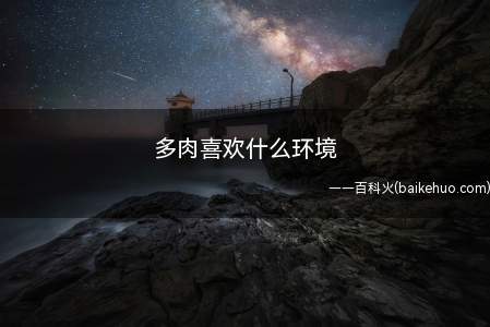 多肉喜欢什么环境(多肉喜欢生长在通风度好的环境)