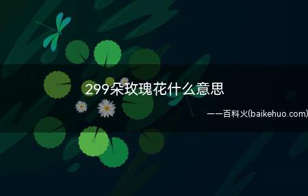 299朵玫瑰花什么意思(玫瑰花的花语意思跟数量相联系,299的谐音)