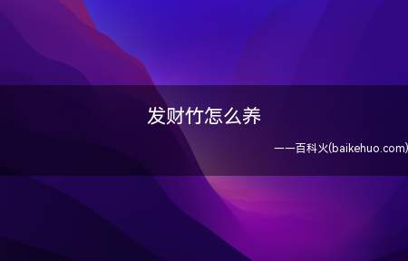 发财竹怎么养(发财竹可以用水养的方法养殖)