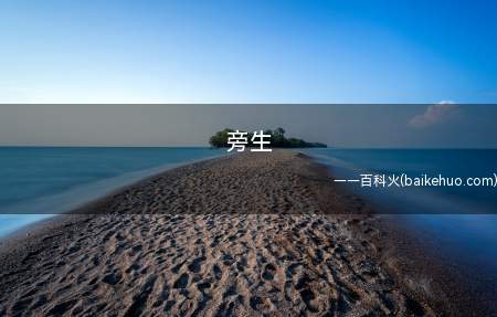 洪州章江禅院堂柱芝草生,谓兽畜昆虫,皆是业轮恶趣,非人天之正