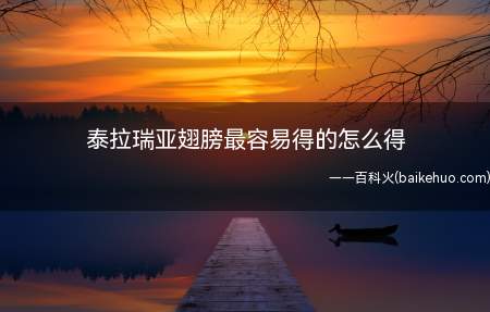 泰拉瑞亚翅膀最容易得的怎么得(泰拉瑞亚游戏流程 最容易得的翅膀怎么得)