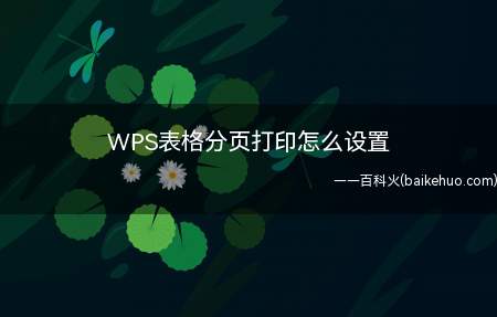 WPS表格分页打印怎么设置(WPS表格如何设置分页打印)
