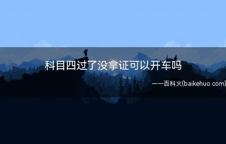 初次申领机动车驾驶证,申请人没有拿到驾照之前是不允许驾驶机动