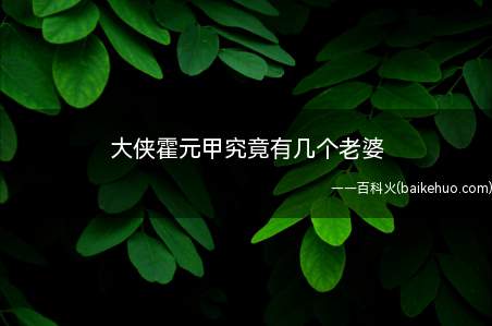 大侠霍元甲究竟有几个老婆(霍元甲只有一名妻子,姓王)