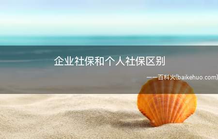 企业社保和个人社保区别(企业缴纳社保和个人缴纳的社保的区别)