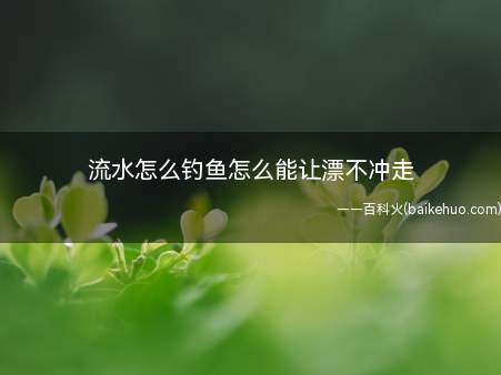 流水怎么钓鱼怎么能让漂不冲走(可以换成吃铅大的浮漂)