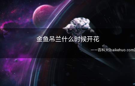 金鱼吊兰什么时候开花（金鱼吊兰的花期在什么时候）