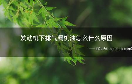 发动机下排气漏机油怎么什么原因(可能是机油回流通道堵塞)