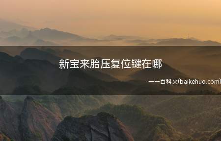新宝来胎压复位键在哪(间接式胎压监控,复位键有)
