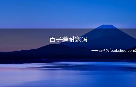 百子莲耐寒吗(百子莲算是稍微耐寒的植物,它可接受零度以上的低温)