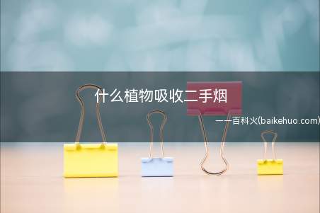 吸收二手烟的植物有常春藤、君子兰、鹅掌木、吸毒草、仙人掌、垂
