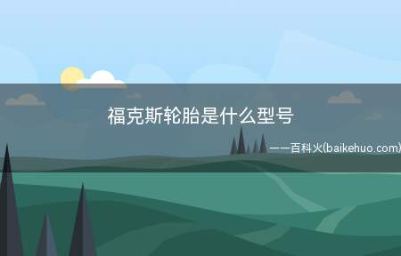 福克斯轮胎是什么型号(福克斯轮胎规格分别是1)