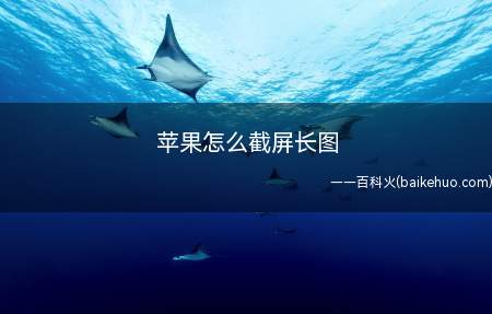 苹果怎么截屏长图(苹果手机没有全局截长图功能,拥有自带的长截屏功能)