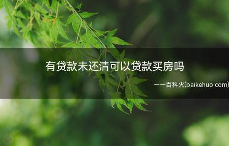 有贷款未还清可以贷款买房吗(有贷款未还清也可以申请贷款买房)