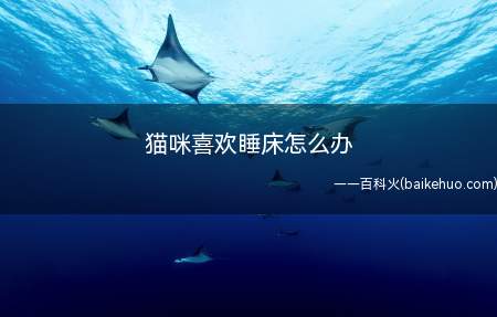 猫咪喜欢睡床怎么办(猫咪喜欢睡床可以给猫咪准备一个舒适的猫窝)