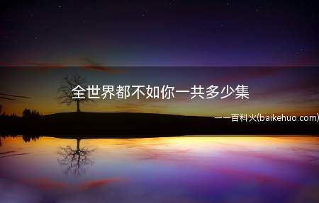 全世界都不如你一共多少集(《全世界都不如你》一共24集)
