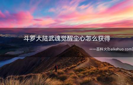 斗罗大陆武魂觉醒尘心怎么获得